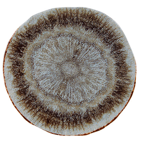 Rustico Iris Plate 6.5inch / 17cm