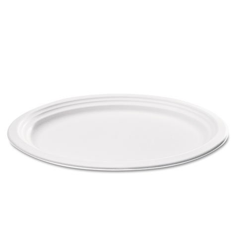 Bagasse Disposable Oval Plates 7 x 10inch 