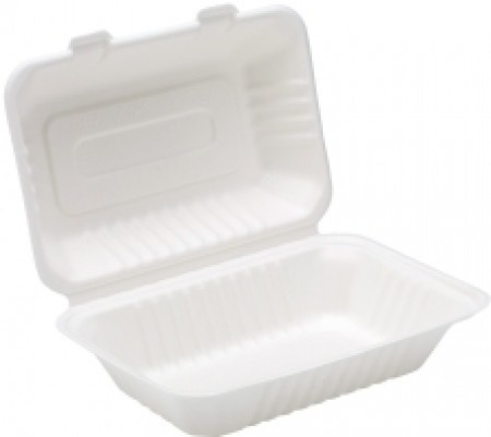 Bagasse Lunch Box 9 x 6inch