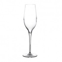 Vinea Champagne Flutes 7oz / 200ml
