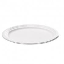 Bagasse Disposable Oval Plate 7" x 10" 