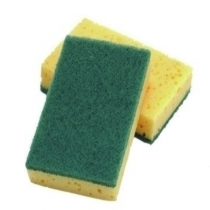 Sponge Scourer