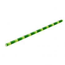 Paper Green Bamboo Straws 8Inch 