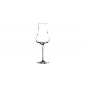 Tentazioni Sparkling Wine Glasses 14.75oz / 42cl 