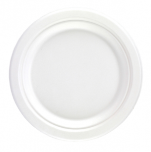 Bagasse Disposable 9 Inch Round Plate