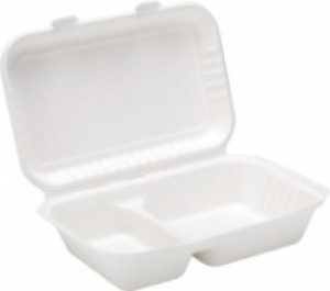 Bagasse 2 Compartment Lunch Box 9 x 6inch