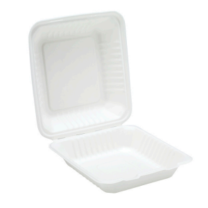 Bagasse Clamshell 24.6 x 24.7cm