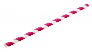 Biodegradable Red and White Striped Paper Straws 8inch