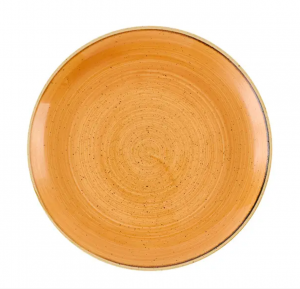 Churchill Stonecast Tangerine Coupe Plate 10.25inch / 26cm 