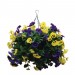 Artifical Pansy Ball Hanging Baket Purple & Yellow 22inch 