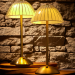 LED Cordless Classic Brown Table Lamp 12.25inch / 31cm