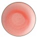 Coral Plates 10.5inch / 27cm