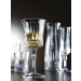 Gatsby Polycarbonate Champagne Flutes 7oz / 200ml 