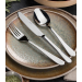 Gourmet Stainless Steel 18/10 Table Spoon 
